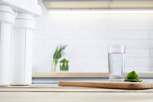 l’eau propre avec filtre d’osmose et les feuilles vertes sur la table en bois dans un intérieur de cuisine. système de filtration domestique. - water filter photos et images de collection