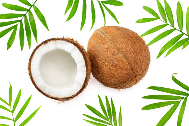 istock Coconut with green leaves isolated on white background. top view 1212698814