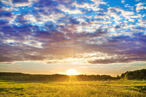 istock beautiful rural summer landscape with sunset 1212698943