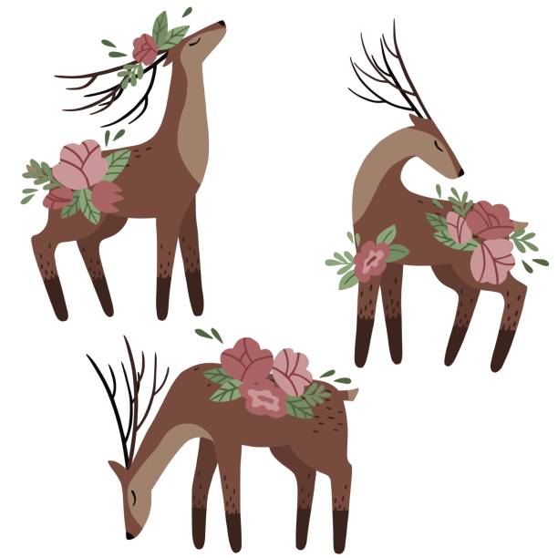 분홍색 꽃이 있는 손으로 그린 사슴 세트. - stag deer doe cartoon stock illustrations
