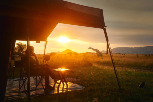 女性はセレンゲティ国立公園、タンザニアのアフリカのサバンナで日没キャンプ中に豪華なテントでサファリの後に休みます。 - エコツーリズム 写真 ストックフォトと画像