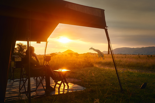 Woman rests after safari in luxury tent during sunset camping in the African savannah of Serengeti National Park, Tanzania.\nWoman Camping Tent Savanna Outdoors Concept