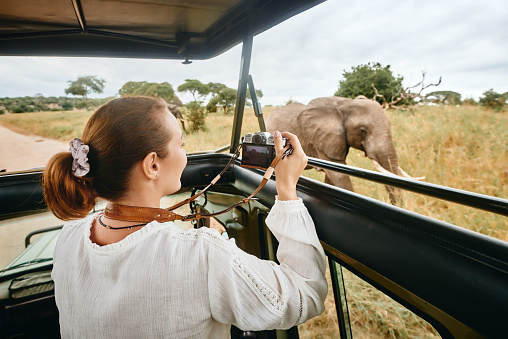 Una mujer en un safari africano viaja en coche con un techo abierto y fotografiar elefantes salvajes photo
