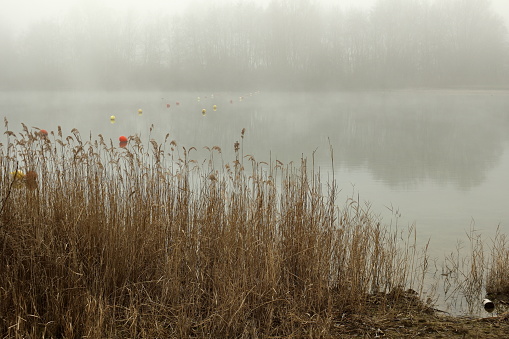 Foggy, wintery images of a lake: the Plas in Rotselaar in Flanders, Belgium. De Plas is an artificial lake created by sand extraction.  Swimming and windsurfing in the summer.