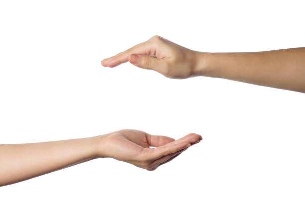 istock Women's hands protect or take care of something 1212712430