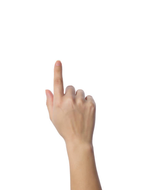 istock female hand touches on screen or shows something 1212712434