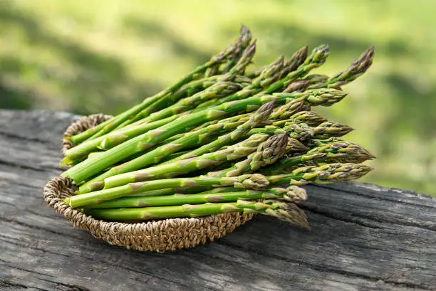 Photo of Asparagus. Fresh Asparagus.
