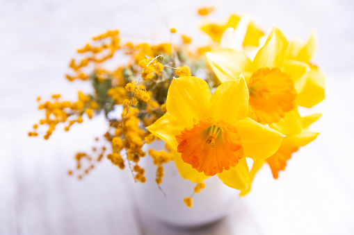 bouquet of yellow narcissus and mimosa