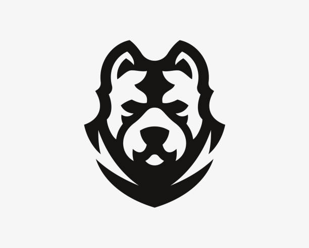 American pitbull modern logo. Dog emblem design editable for your business. Vector illustration. American pitbull modern logo. Dog emblem design editable for your business. Vector illustration. pit bull power stock illustrations