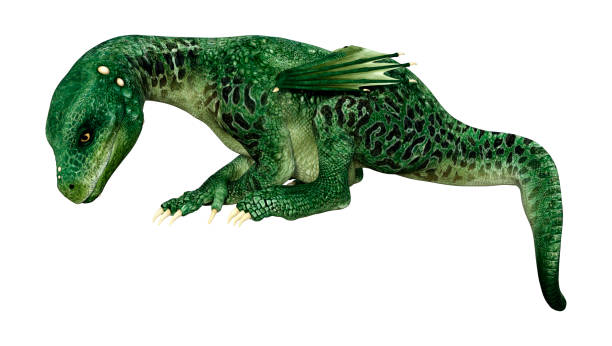 istock 3D illustration fantasy dragon on white 1212715658