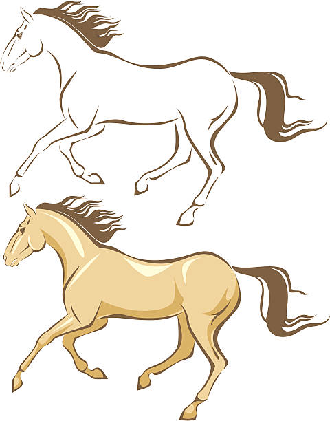 Horse Gallop Stock Illustration - Download Image Now - Animal, Animal Gait,  Animal Mane - iStock