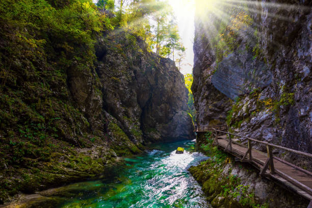 istock Sun illuminates the river with azure water 1212717921