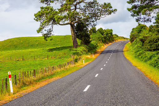 Fabulous faraway country. Road among the green fields of the North Island of New Zealand. Way to Rotorua. The concept of exotic, ecological and photo tourism. Car tourism concept