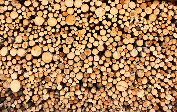 istock Pile of wood 121271945