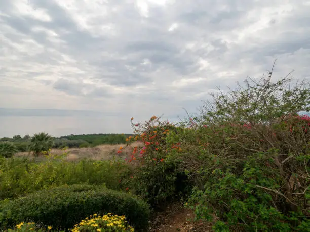 Photo of Sea of Galilee seen from the hills of Tiberias, Israel