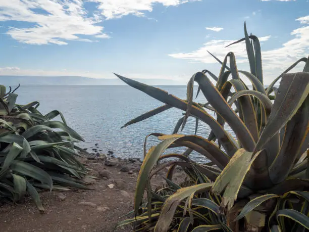 Photo of Sea of Galilee seen from Capernaum, Israel