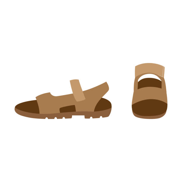 白い背景に分離された男性の茶色のサンダルシューズ - sandal点のイラスト素材／クリップアート素材／マンガ素材／アイコン素材