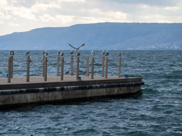 Photo of Pier at the Sea of Galilee at Capernaum, Israel