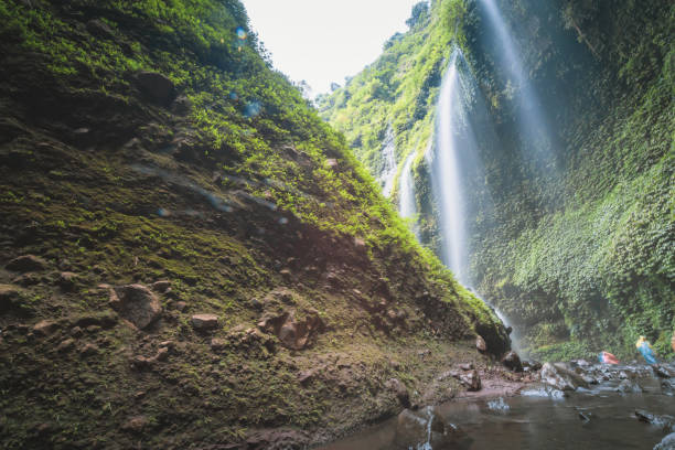 istock Jungle waterfall cascade in tropical rainforest.  Waterfall In Jungle ,Bali ,indonesia 1212722826