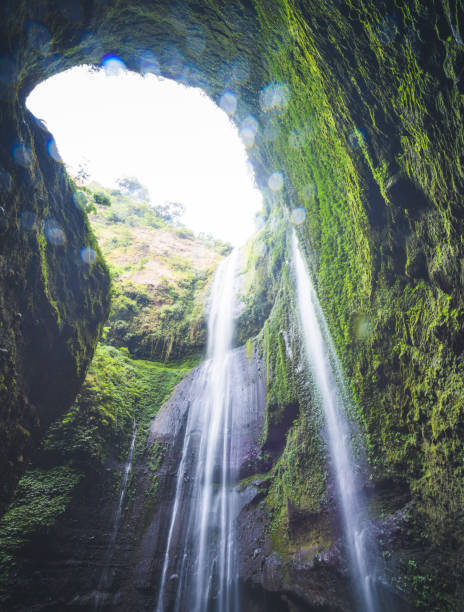 istock Jungle waterfall cascade in tropical rainforest.  Waterfall In Jungle ,Bali ,indonesia 1212722890