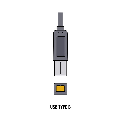 Usb Type B Cable And Plug Connector Isolated On White Background Stock
