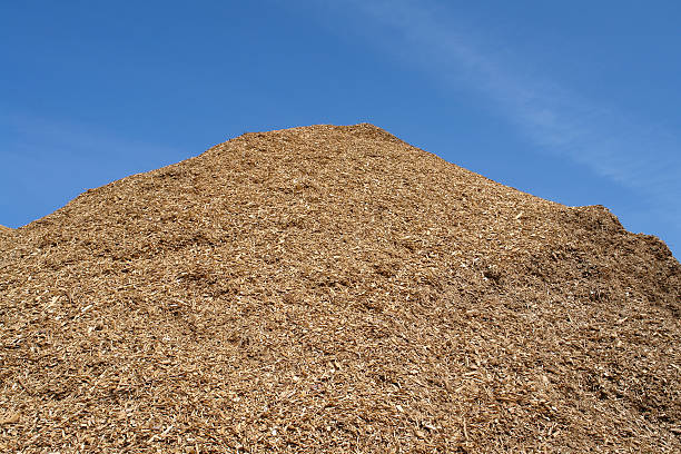 istock Pile of wood chips mulch background 121272501