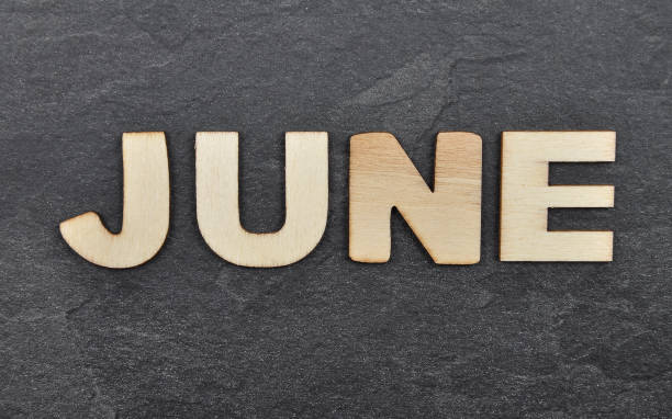 istock Term from wooden letters on slate board 1212726580