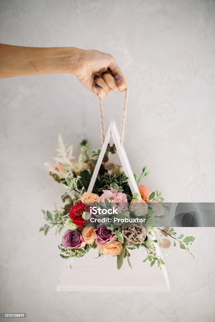 Muy Buena Mujer Joven Mano Sosteniendo Ramo De Flores En Flor En Una Caja De Madera En Forma De Triángulo En El Fondo Gris Foto de stock y más banco de imágenes Muy Buena Mujer Joven Mano Sosteniendo Ramo De Flores En Flor En Una Caja De Madera En Forma De Triángulo En El Fondo Gris Foto de stock y más banco de imágenes