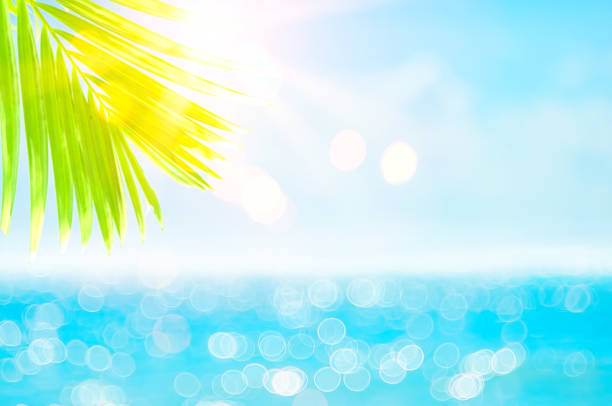 Blur beautiful nature green palm leaf on tropical beach with bokeh sun light wave abstract background. Copy space of summer vacation and business travel concept. Vintage tone filter effect color style