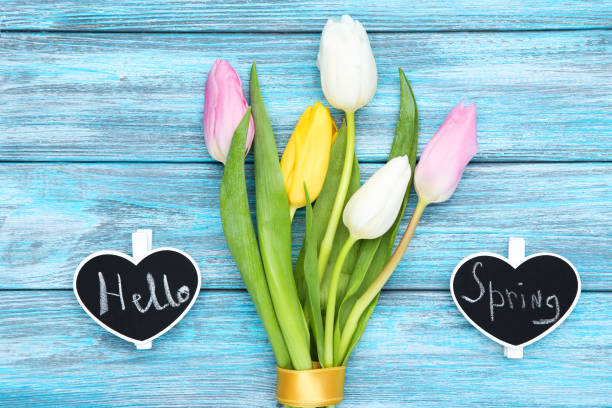 istock Tulip flowers with text Hello Spring on blue wooden table 1212729165