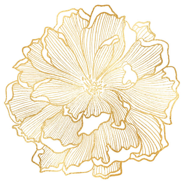 ilustrações de stock, clip art, desenhos animados e ícones de hand drawn gold foil peony flower background. elegant design element for greeting cards (birthday, valentine's day), wedding and engagement invitation card template. - daffodil flower yellow plant