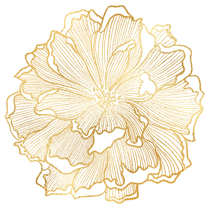 Hand Drawn Gold Foil Peony Flower Background. Elegant design element for greeting cards (birthday, valentine's day), wedding and engagement invitation card template.