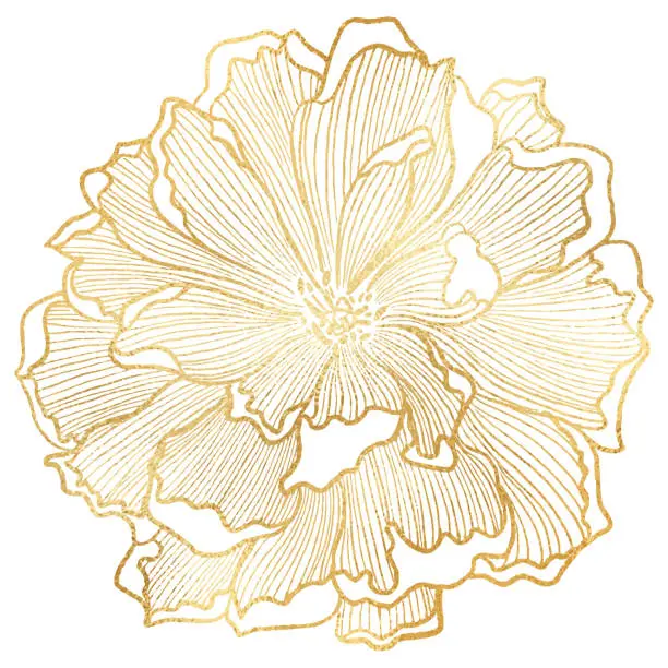 Vector illustration of Hand Drawn Gold Foil Peony Flower Background. Elegant design element for greeting cards (birthday, valentine's day), wedding and engagement invitation card template.