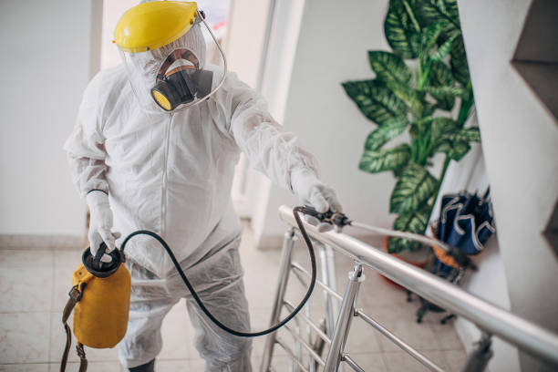 un uomo in tuta protettiva che spruzza la casa e disinfetta la recinzione della scala - fence mask foto e immagini stock