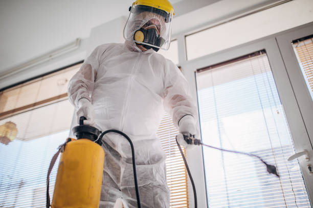 istock One man in protective suit disinfecting the home , and indoors space 1212734836