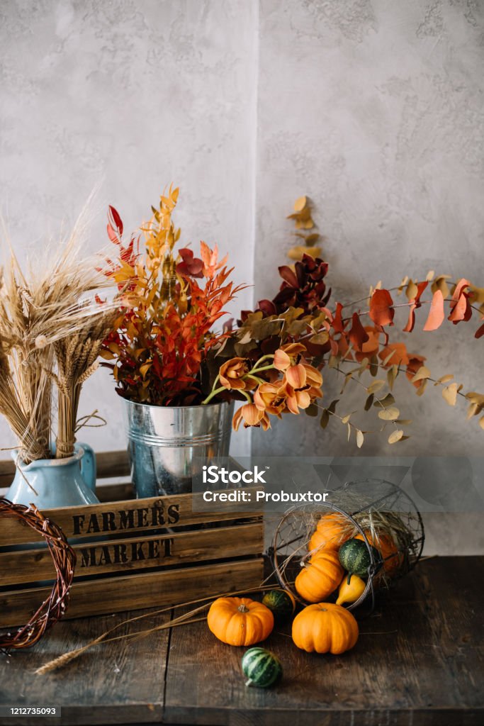 Still life image: Bunch of wheat, stabilised eucalyptus in a wooden rustic box and a bucket of orange ornamental little pumpkins standing on the wooden table Autumn Stock Photo