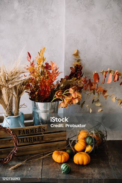 Still Life Image Bunch Of Wheat Stabilised Eucalyptus In A Wooden Rustic Box And A Bucket Of Orange Ornamental Little Pumpkins Standing On The Wooden Table Stock Photo - Download Image Now