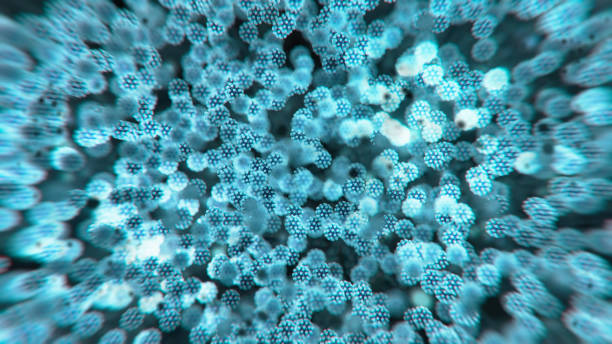 Abs COVID-19 virus infection