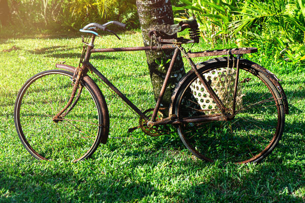 Close up vintage bicycle on green tropical background. Retro style for holiday concept.