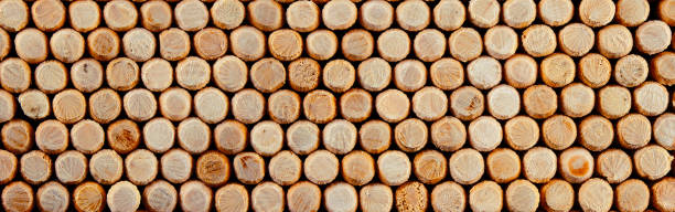 istock Background and texture of wooden dowels. Panorama 1212739915
