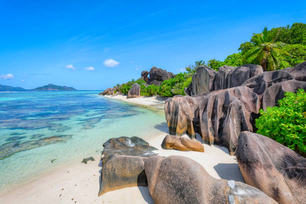 istock Beautiful tropical beach Anse Source d´Argent with sculpted granite rocks and palm trees - Island of La Digue, Seychelles, Indian Ocean Islands. 1212741428