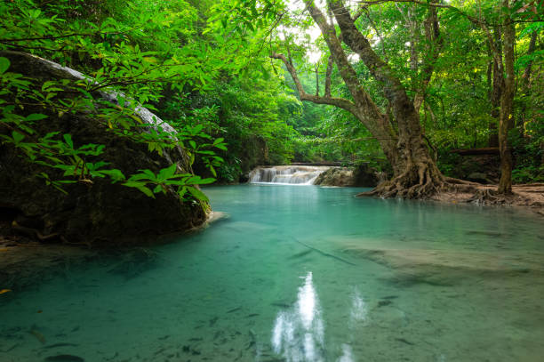 istock A beautiful waterfall deep in the tropical forest, steep mountain adventure in the rainforest. 1212741475