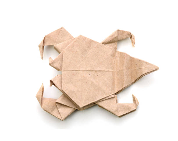 istock Origami scorpion top view on white 1212741975