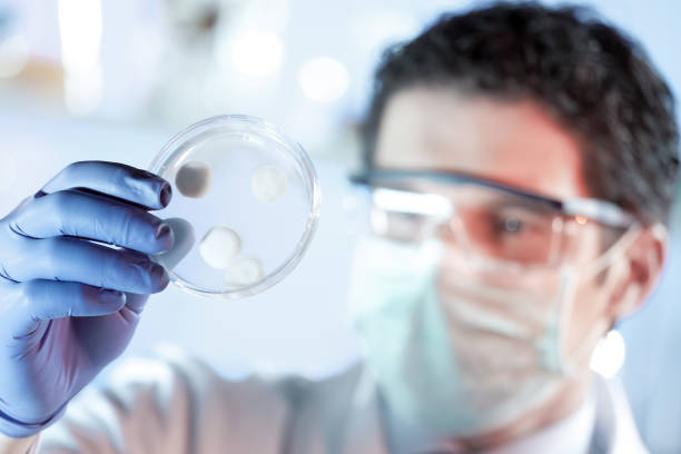 istock Scientist working in corona virus vaccine development laboratory research facility. 1212744286