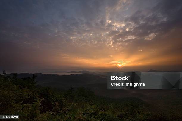Sonnenaufgang Über Den Regenwald Stockfoto und mehr Bilder von Luftaufnahme - Luftaufnahme, North Carolina - US-Bundesstaat, Wald