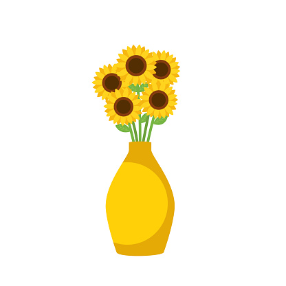 Yellow vase with blooming flowers for decoration and interior. Beautiful sunflowers in ceramic vase isolated on white background. Vector stock