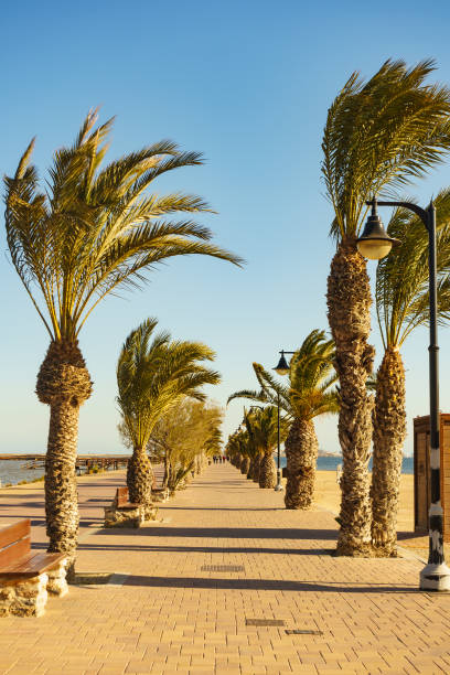 istock Walking path area at San Pedro del Pinatar, Spain 1212750144