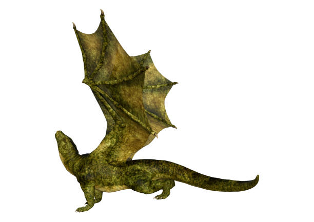 istock 3D illustration fantasy dragon on white 1212750860