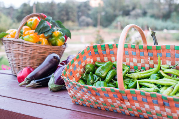 Ecological vegetables, cultivated with methods based on environmental respect and optimization of natural resources
