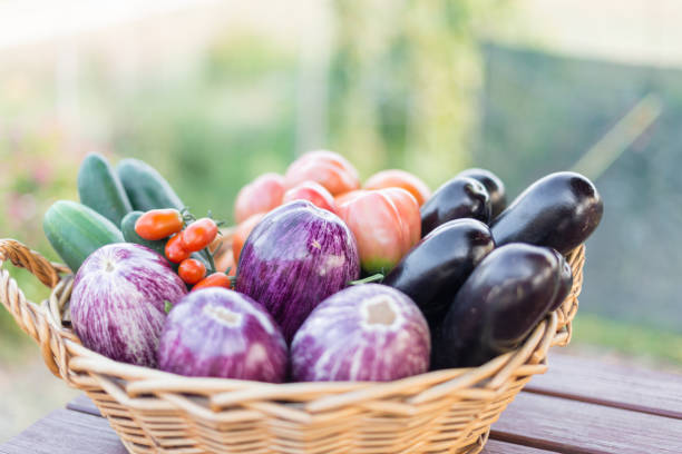 Ecological vegetables, cultivated with methods based on environmental respect and optimization of natural resources